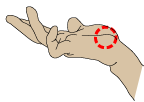 蓁(Ƃ)